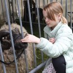 child with live ram